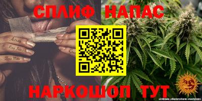 apvp Будённовск