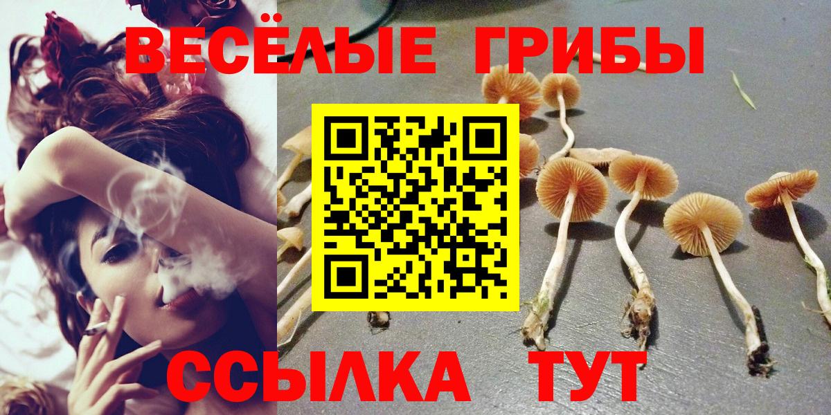 Галлюциногенные грибы мицелий Новошахтинск