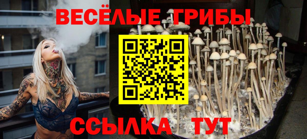 магазин продажи наркотиков  Галлюциногенные грибы Magic Shrooms  Вход с VPN  Новошахтинск 